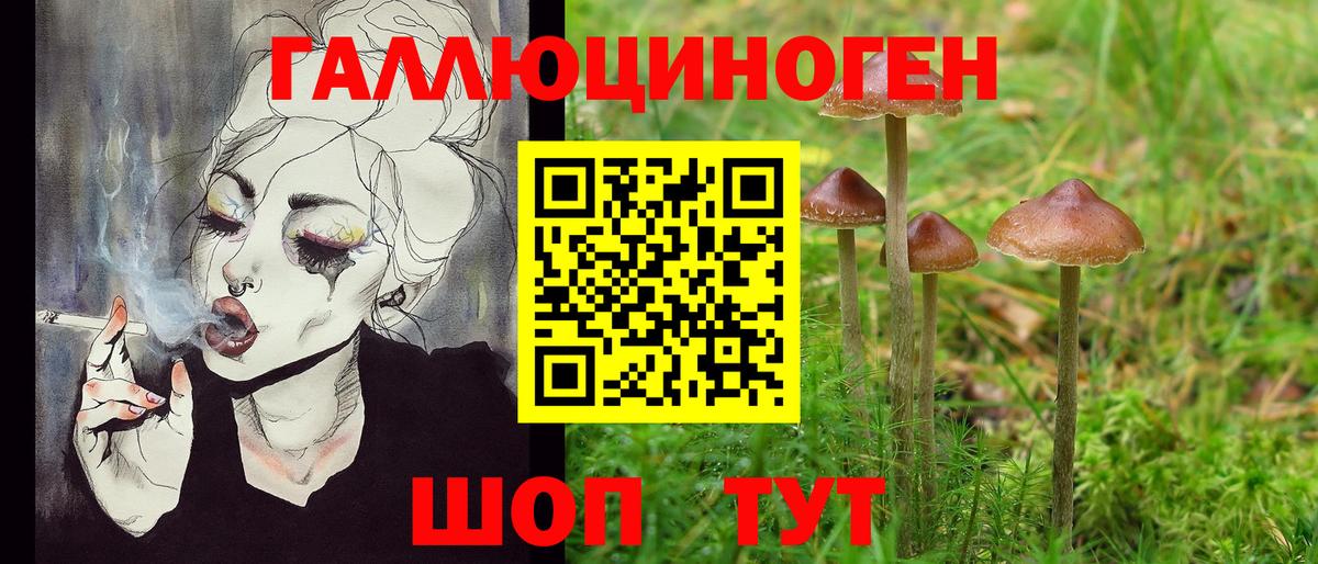 Псилоцибиновые грибы прущие грибы Орёл