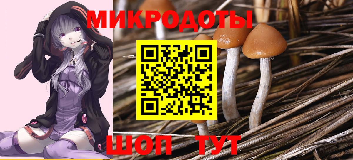 Галлюциногенные грибы Psilocybe  Псилоцибиновые грибы MAGIC MUSHROOMS  Вход с VPN  Орёл 